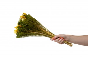 bouquet-de-fleurs-sechees-10.