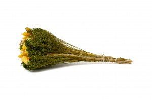 bouquet-de-fleurs-sechees-10.