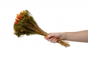 bouquet-de-fleurs-sechees-10.