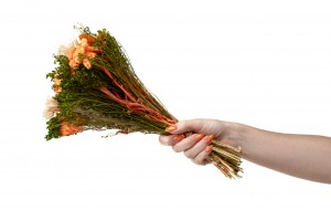 bouquet-de-fleurs-sechees-10.