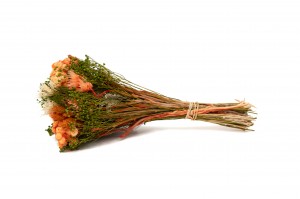bouquet-de-fleurs-sechees-10.