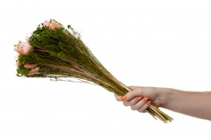 bouquet-de-fleurs-sechees-10.