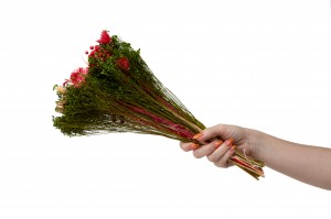 bouquet-de-fleurs-sechees-10.