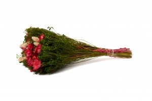 bouquet-de-fleurs-sechees-10.