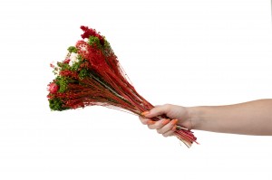 bouquet-de-fleurs-sechees-10.