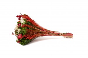 bouquet-de-fleurs-sechees-10.