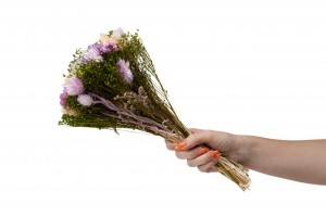 bouquet-de-fleurs-sechees-10.