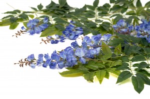 wisteria-garland-artificial-40