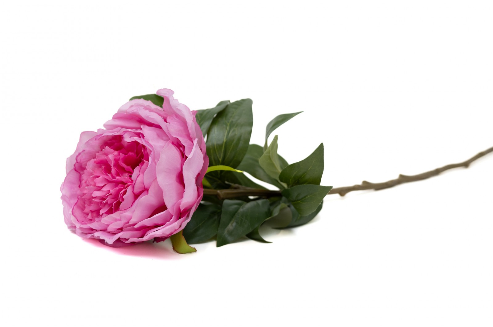 Pivoine Artificielle (40) pivoine-artificielle-40