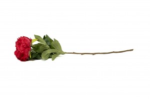 artificial-peony-40.