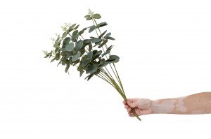 artificial-eucalyptus-pick-40.