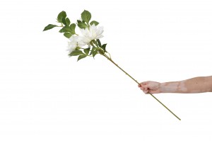 dahlia-artificiel-40.
