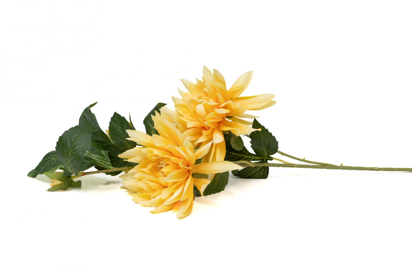 Dahlia Artificiel (40) dahlia-artificiel-40