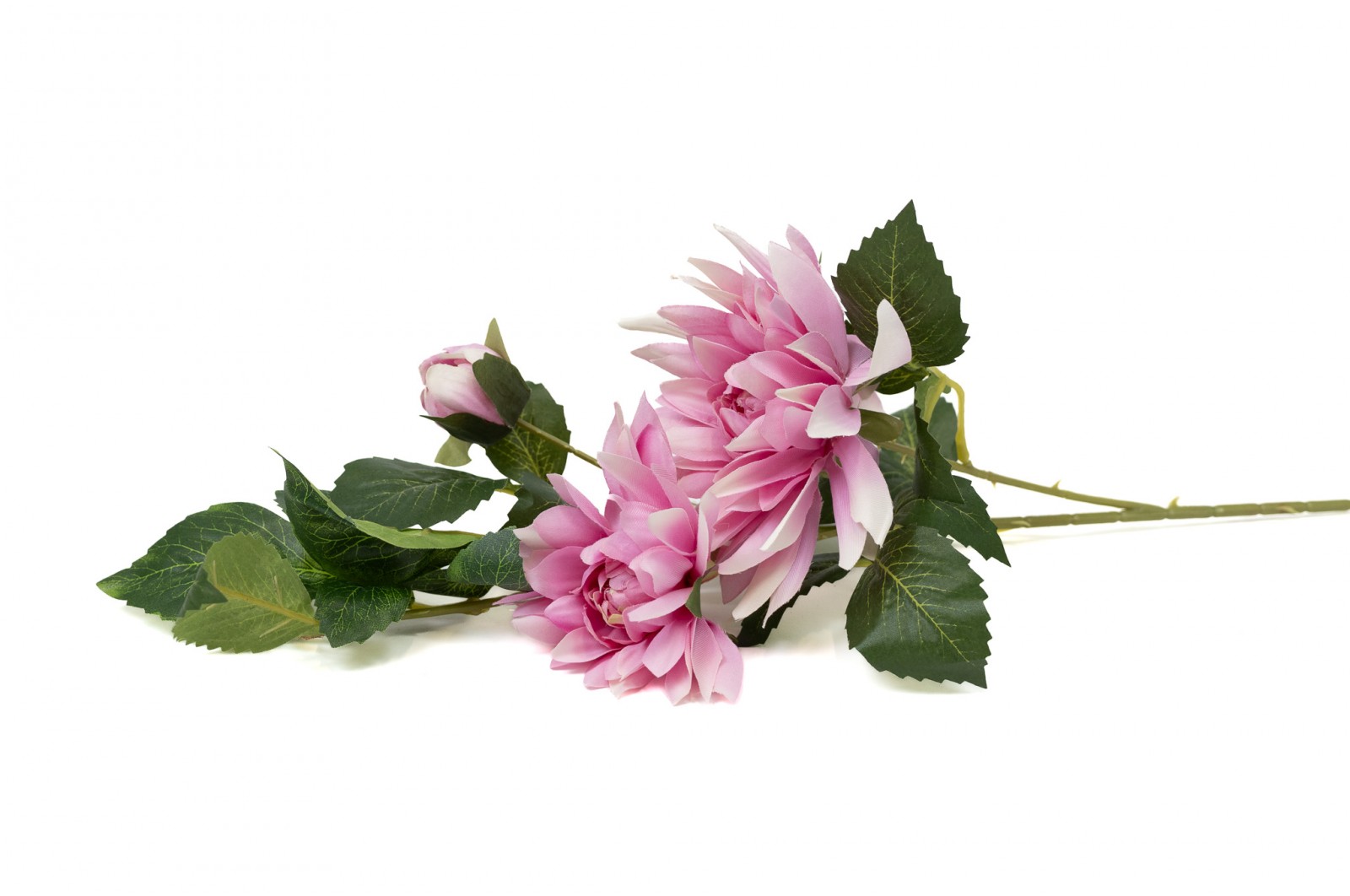 Dahlia Artificiel (40) dahlia-artificiel-40