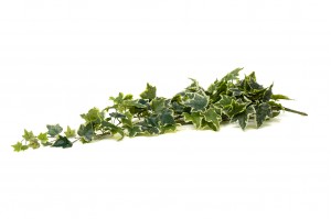 artificial-ivy-hanging-40.