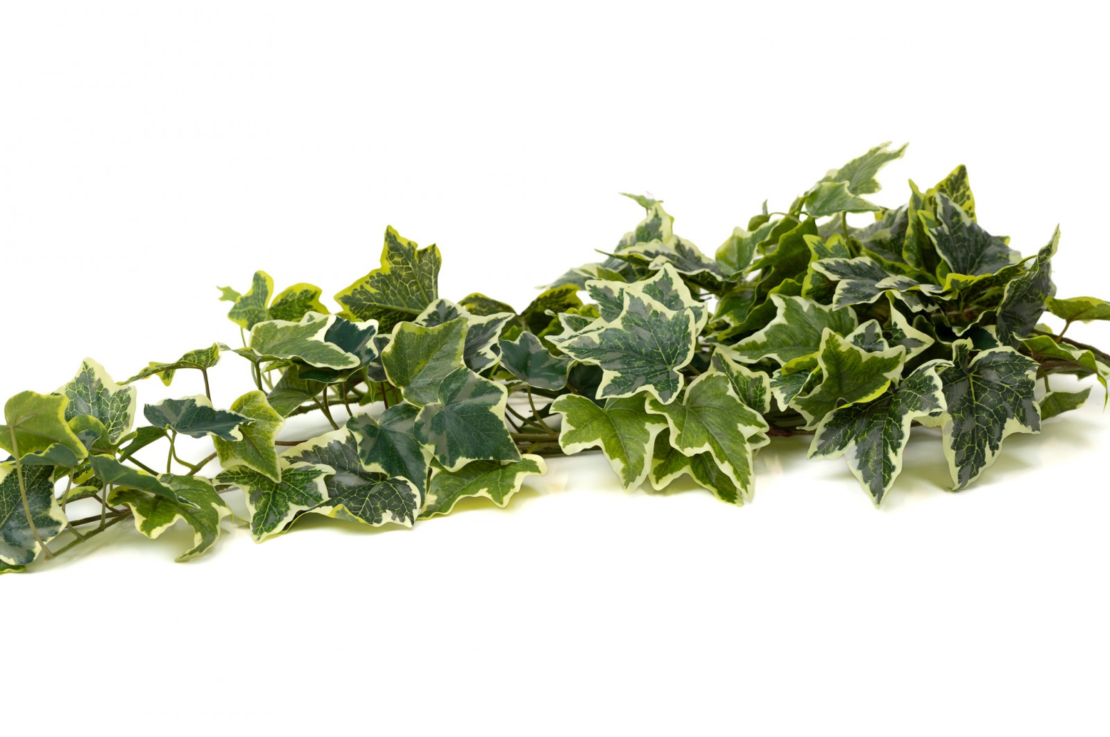 Artificial Ivy Hanging (40) artificial-ivy-hanging-40