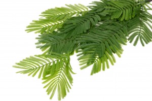artificial-fern-hanging-40