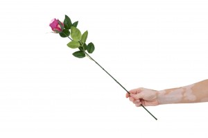 artificial-rose-40.