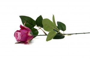 artificial-rose-40.