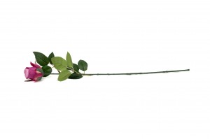 artificial-rose-40.