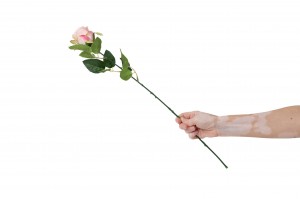 artificial-rose-40.