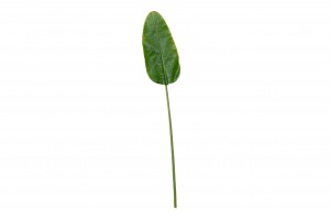 feuille-de-bananier-artificielle-40.
