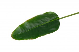 artificial-banana-leaf-40