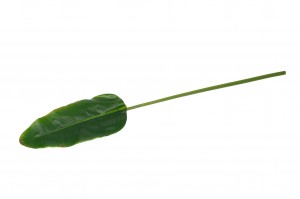 artificial-banana-leaf-40.