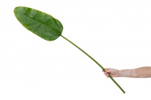 artificial-banana-leaf-40.