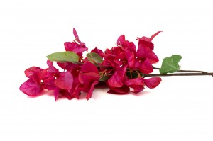 bougainvillee-artificiel-40