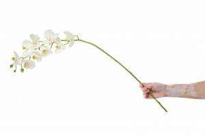 artificial-orchid-41.