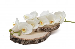 orchidee-artificielle-41