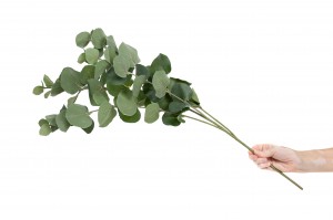 artificial-eucalyptus-41.