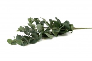 artificial-eucalyptus-41