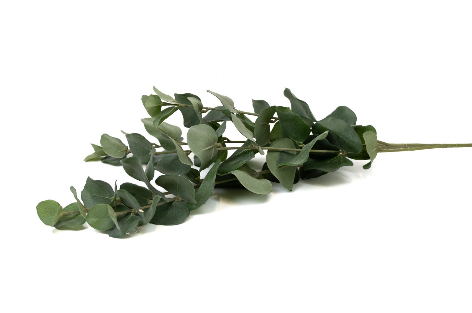 Artificial Eucalyptus (41) artificial-eucalyptus-41