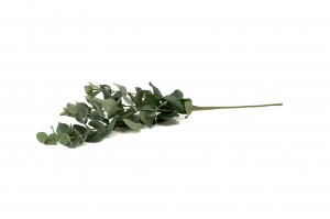 artificial-eucalyptus-41.
