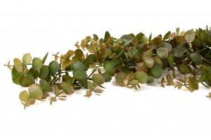 artificial-hanging-eucalyptus-41