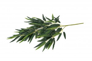 artificial-bamboo-41.