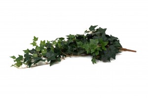 artificial-english-ivy-hanging-41.