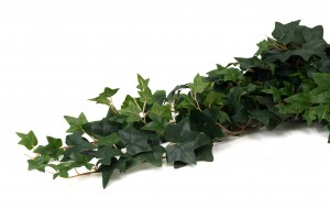 artificial-english-ivy-hanging-41