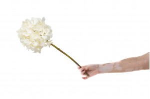 artificial-hydrangea-41.