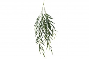 artificial-willow-41.