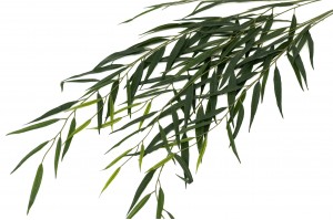 artificial-willow-41