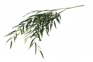 artificial-willow-41.