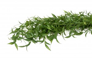 artificial-hanging-salix-41