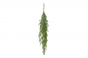 artificial-hanging-asparagus-41.