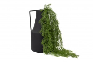 artificial-hanging-asparagus-41.