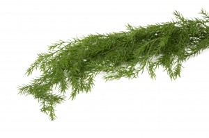 asparagus-artificiel-chute-41