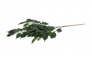 artificial-ficus-exotica-41.