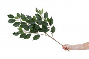 artificial-ficus-exotica-41.